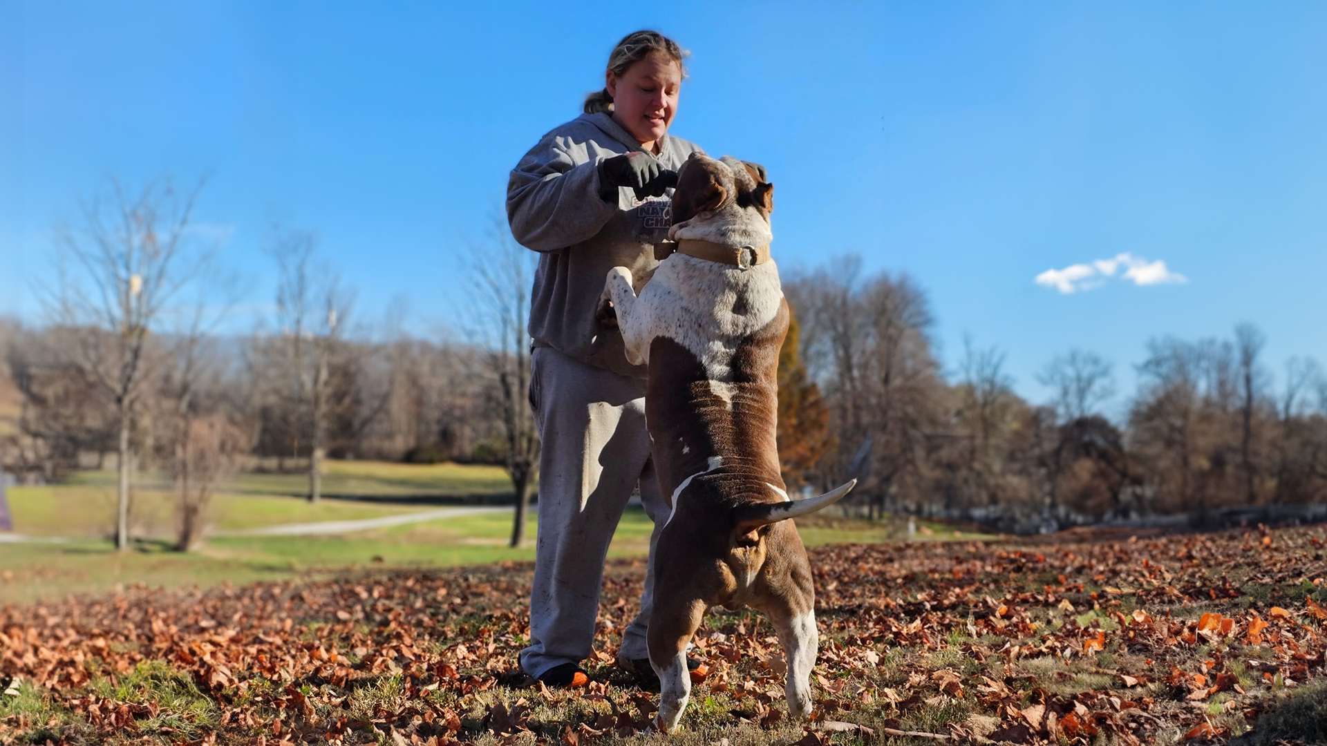 ukc ch abkc grch bossy's kano of ky finest bullies, xl bully breeders in kentucky